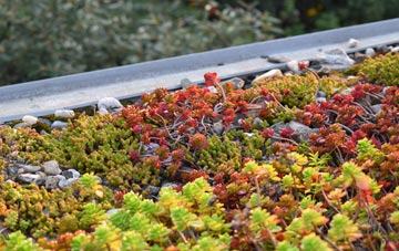 the cost of Neithrop green roof installation
