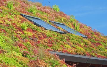 Neithrop living roof systems